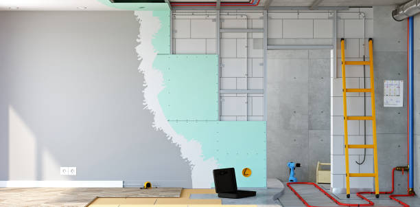 Best Emergency Mold Remediation  in Florence, CO