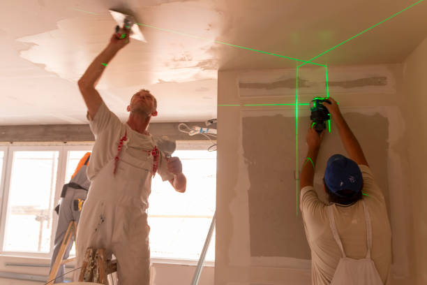 Best Commercial Mold Inspection  in Florence, CO